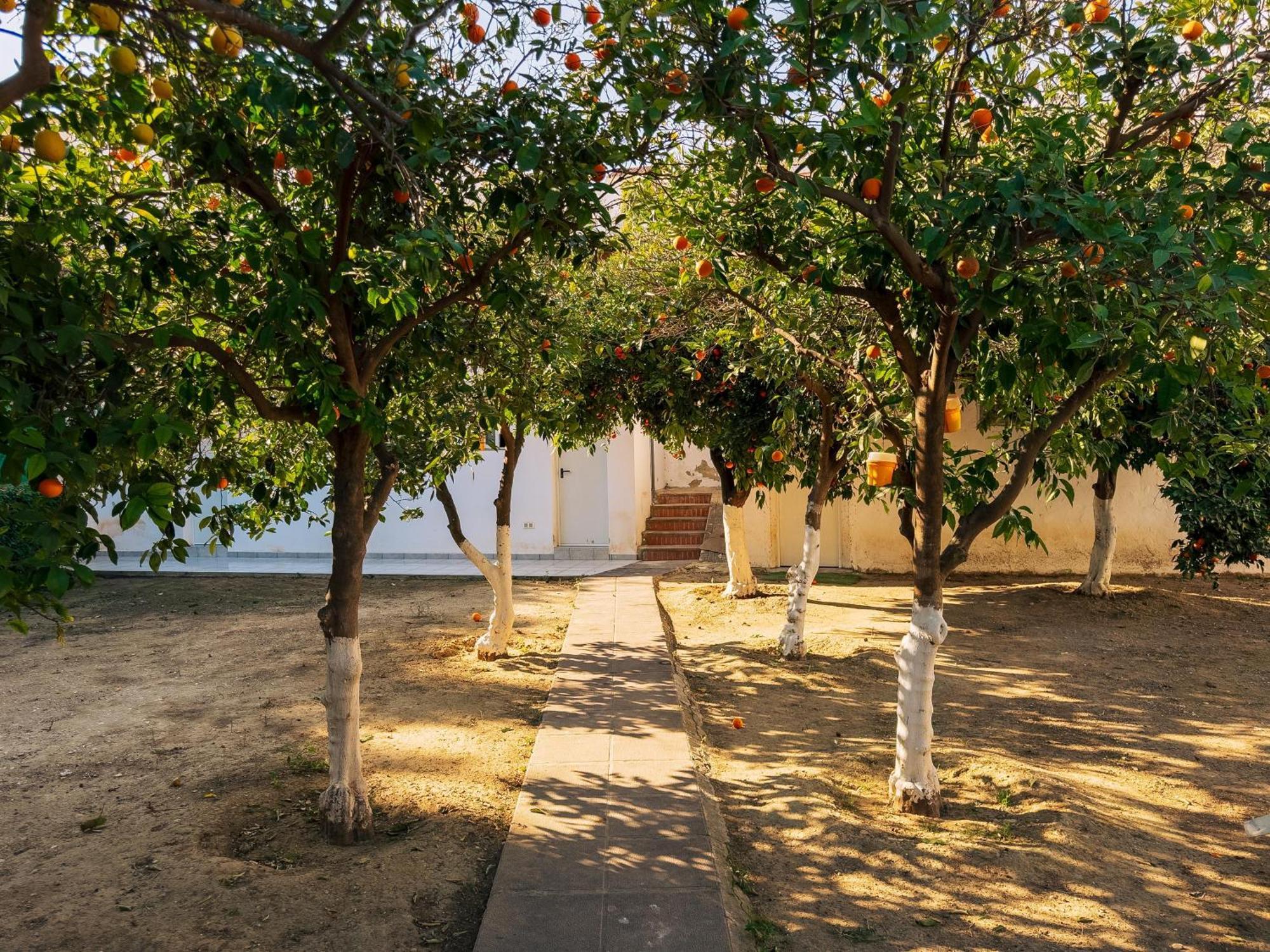 Charming Country House Торремолінос Екстер'єр фото